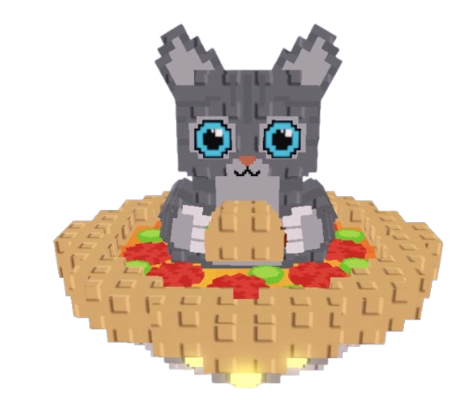 Gattito Tacoto - внешний вид