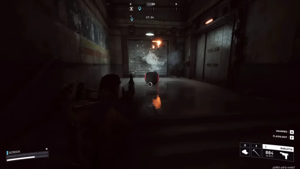 ARC «Инспектор» (Surveyor)